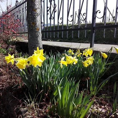 Country house Casa Badinot *