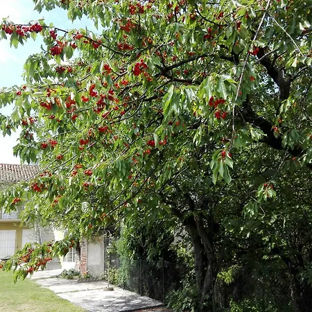 Séjour à la campagne Casa Badinot *