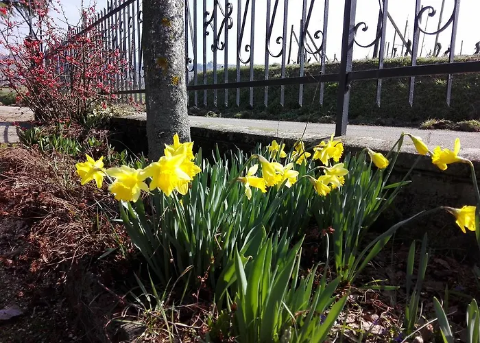 Casa di campagna Casa Badinot *